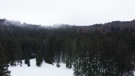 Snowy-Pine-Forest-At-Ciomadul-Volcano-During-Winter-Season-In-Harghita,-Romania