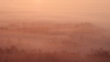 thick gray fog covering dutch forest in orange pink sunset glow; drone