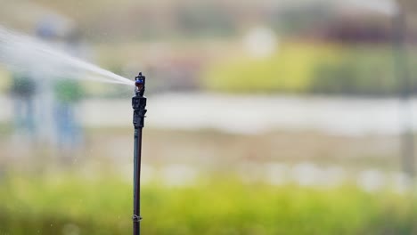 primer plano del rociador de agua en el vivero