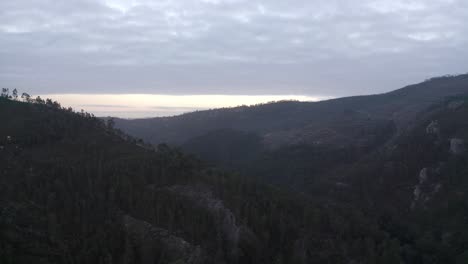 coniferous with dense foliage at mountain ridges during sunrise in oporto, portugal