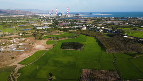 coastal power plant by rice plantation, aerial panorama