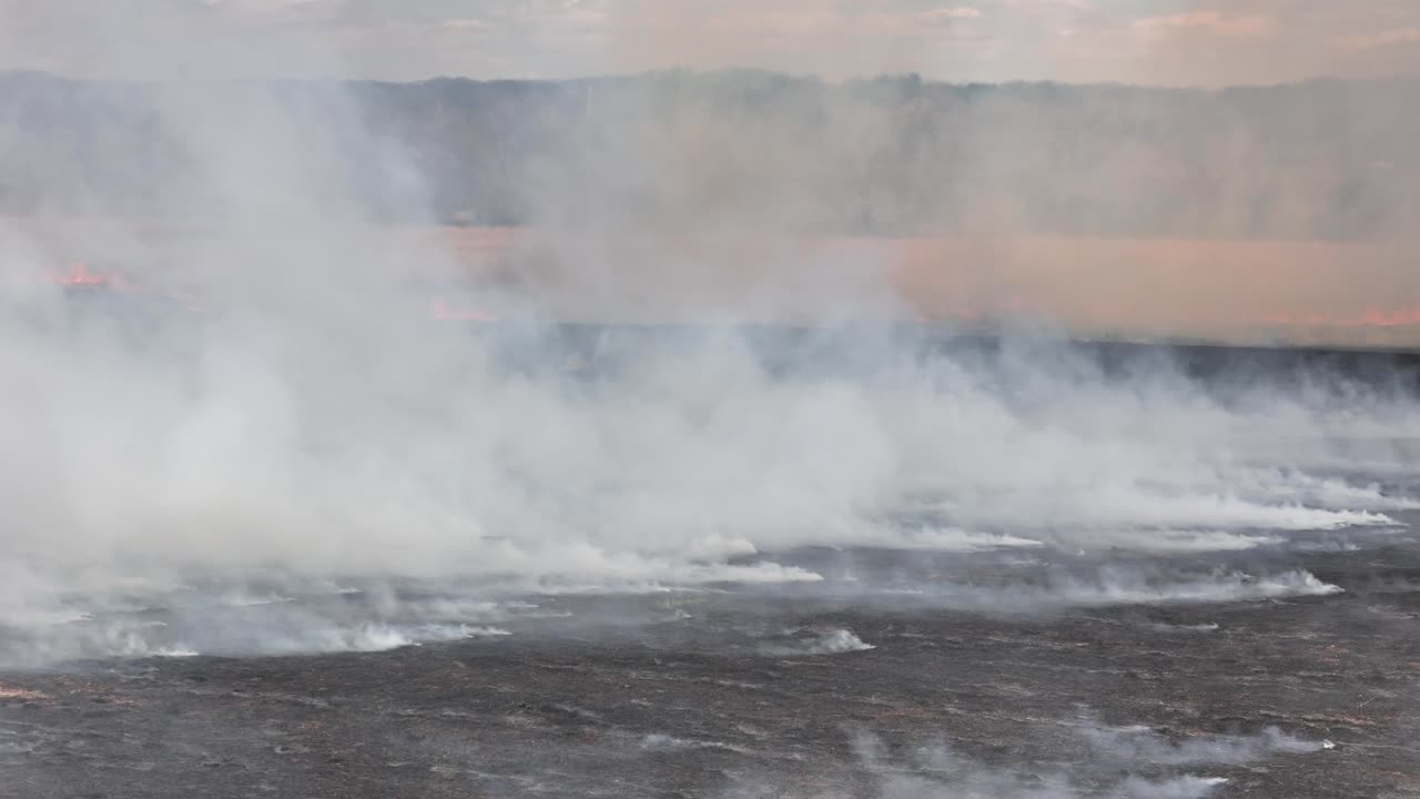 Fire and smoke devour a field in an attempted controlled burn to help stop an approaching forest fire. B-roll representative of Carolina fires.