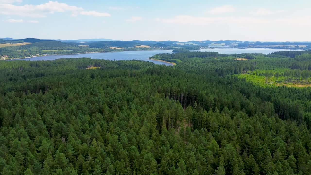 cinematic drone view hovering over a large green forest with a lake in the background