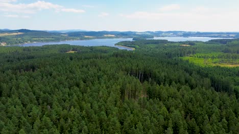 cinematic drone view hovering over a large green forest with a lake in the background