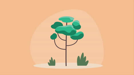 tree plant garden nature animation