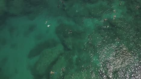 Blick-Von-Oben-Auf-Schwimmer,-Die-Das-Klare-Wasser-In-Sharks-Cove-3-Genießen
