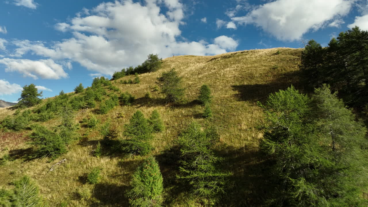 carretera de retorno en el bosque alpes italianos toma aérea
