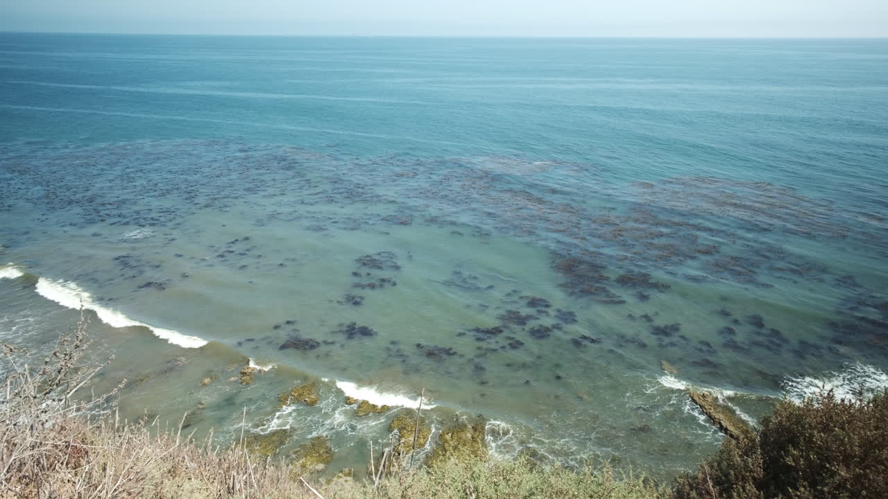 plano general de las olas costeras de california sobre el bosque de algas marinas, con vistas al océano pacífico azul y verde