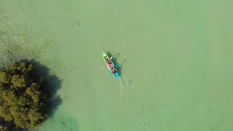 aerial birds eye tracking shot of kayakers