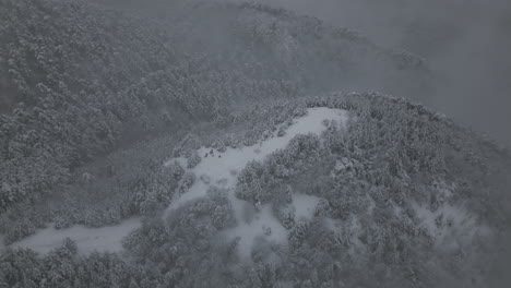 areal footage of winter forest, snow and foggy