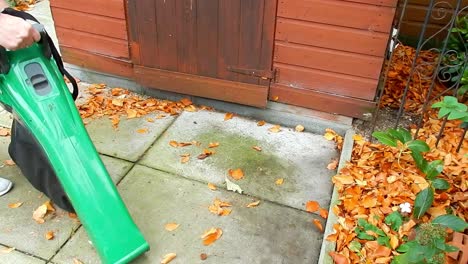 clearing leaves in windy garden with leaf blower vacuum