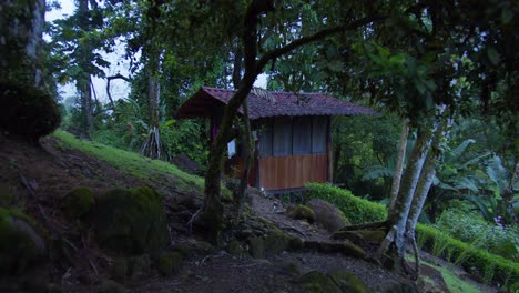 cabaña de brujas de malhumorado bungalow de costa rica en la selva selva tropical