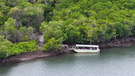 A boat navigates calm waters alongside lush mangroves in Port Douglas, Australia. Daylight illuminates the vibrant greenery and serene environment