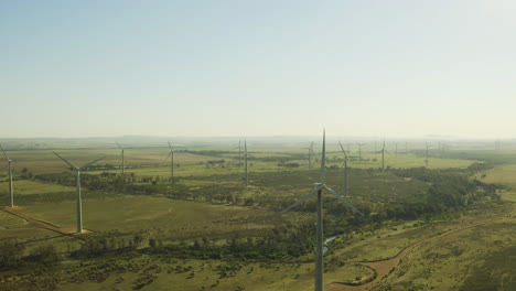 Tan-Ecológico-Como-La-Agricultura-Se-Vuelve