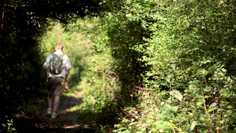 a person hiking on a lush forest path