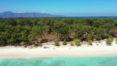 isla de kalimantan, asia - rodeada de arena blanca y árboles verdes con un cielo azul claro en el fondo - toma aérea