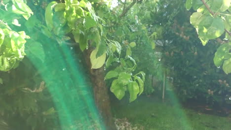 floating rain drops slow motion