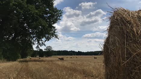 be captivated by the rustic elegance of straw bales in the summer field