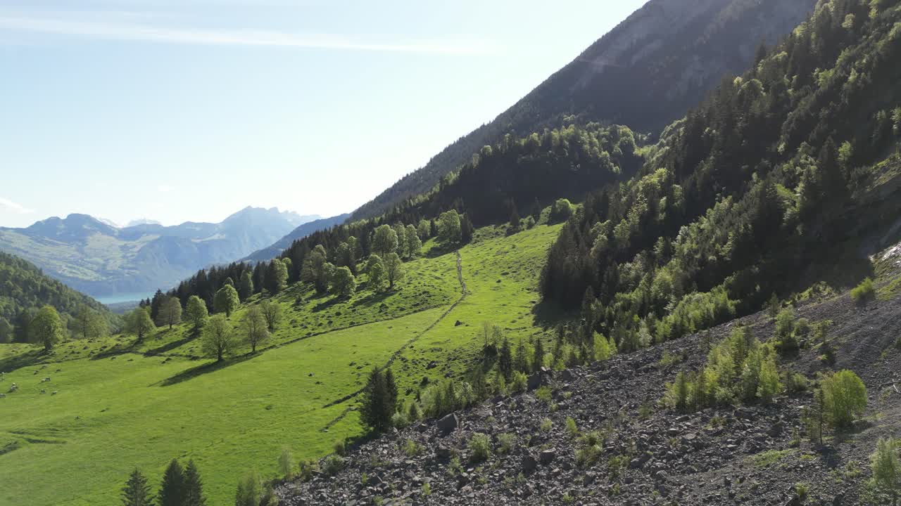 Valle boschiva, destinazione di viaggio per escursioni nella natura in Svizzera, campagna vista dall'alto