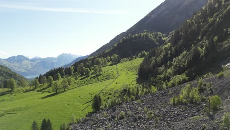 forest valley, nature hike travel destination switzerland, aerial countryside