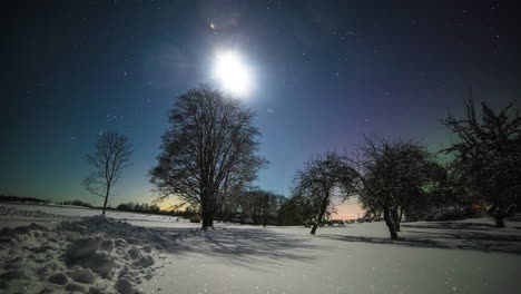 beautiful winter timelapse of a snowy field with trees under a sky with a bright moon and stars