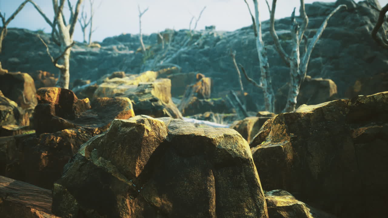 황폐한 풍경에서 은 하늘 아래 건조한 나무가 있는 바위 지형