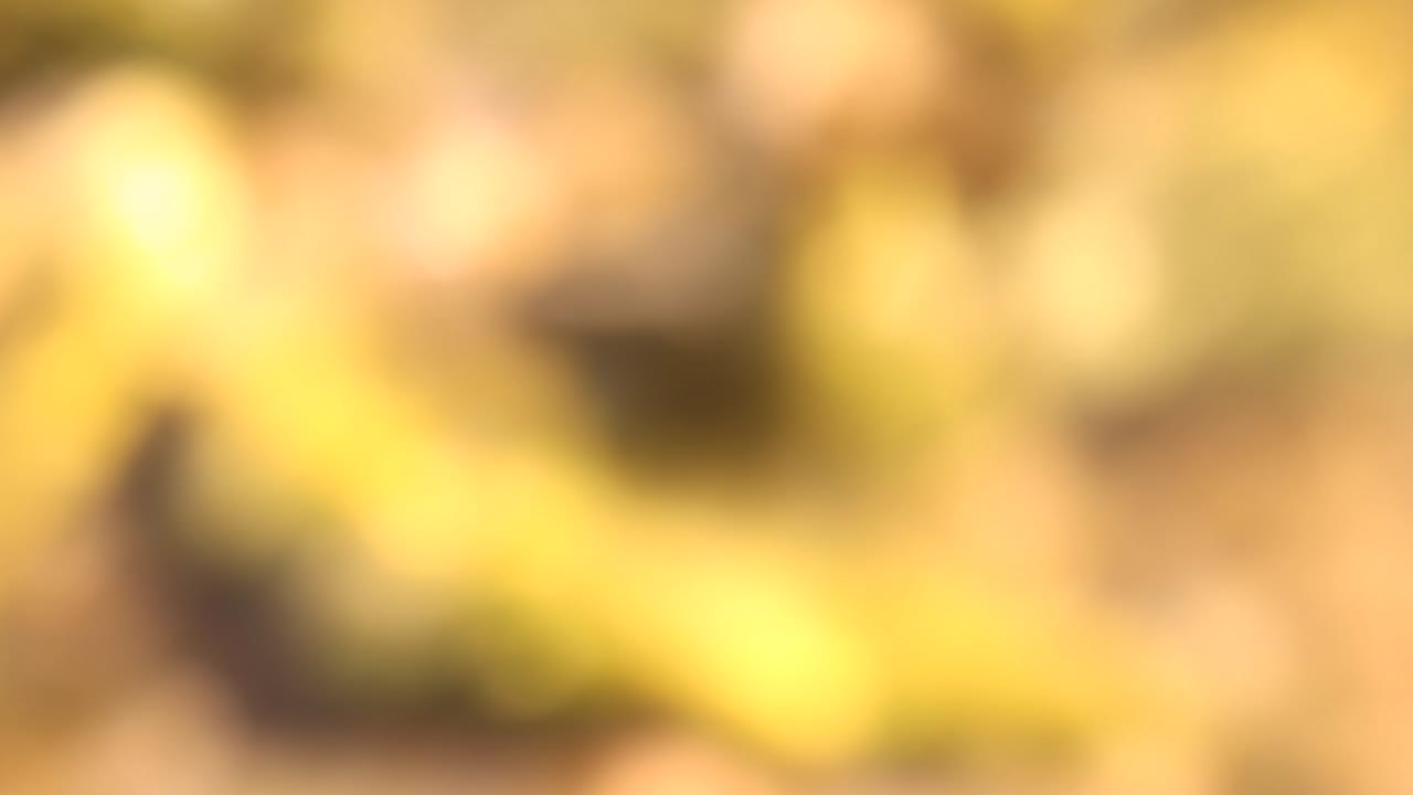 agua que fluye rápidamente con llamaradas solares desenfocadas.