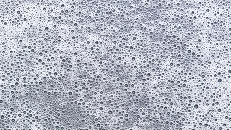 closeup scene of detergent foam bubble on the surface of water