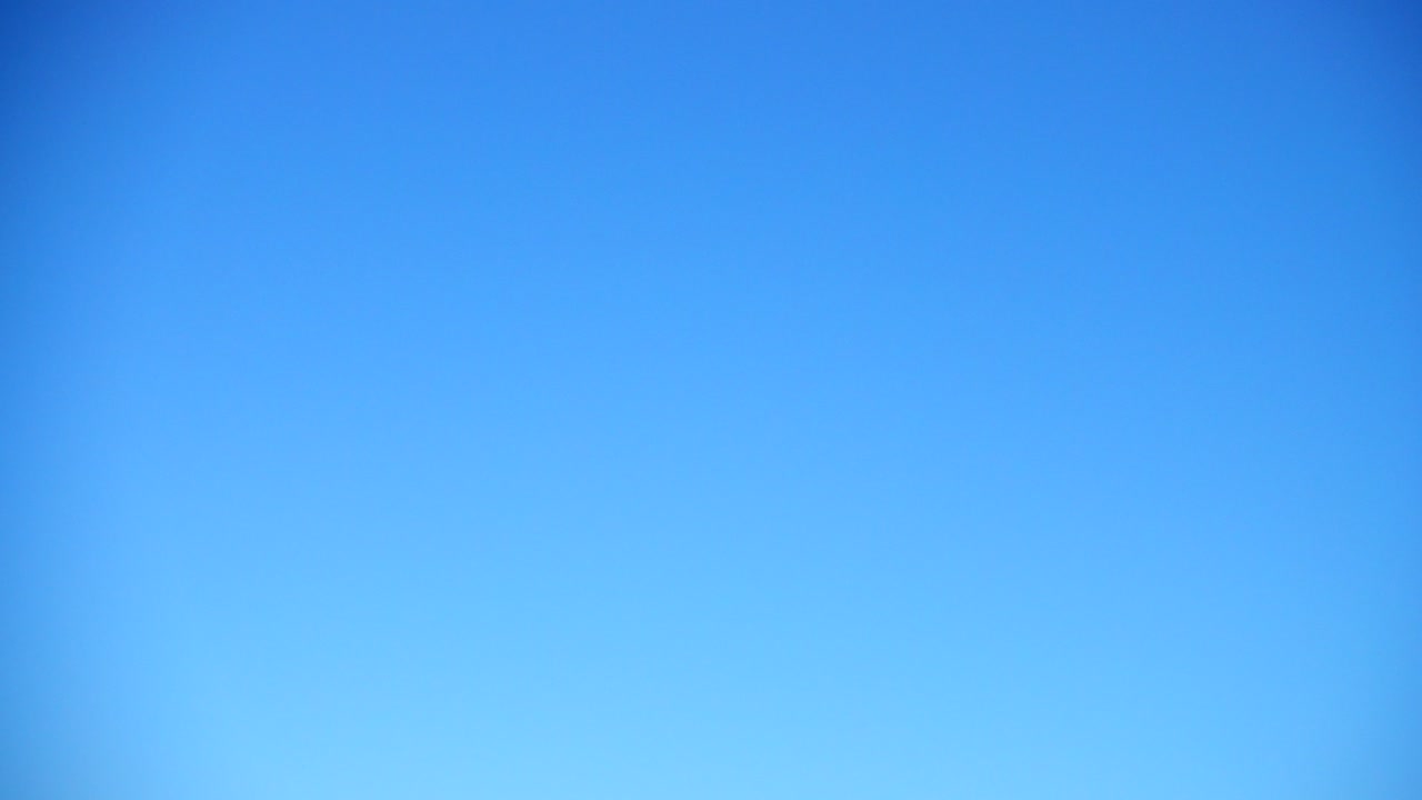 Seagulls fly over the sea. Slow motion