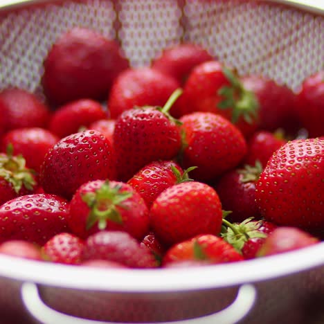 Freshly-harvested-strawberries--Metal-colander-filled-with-juicy-fresh-ripe-strawberries-on-an-table