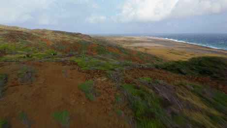 Northside-westpunt-hills-shaded-from-overcast-clouds,-soaring-low-above-shrub-bushes-and-cacti-on-shoreline-of-Curacao