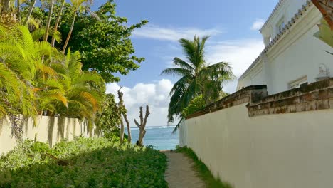 tropical coastal path