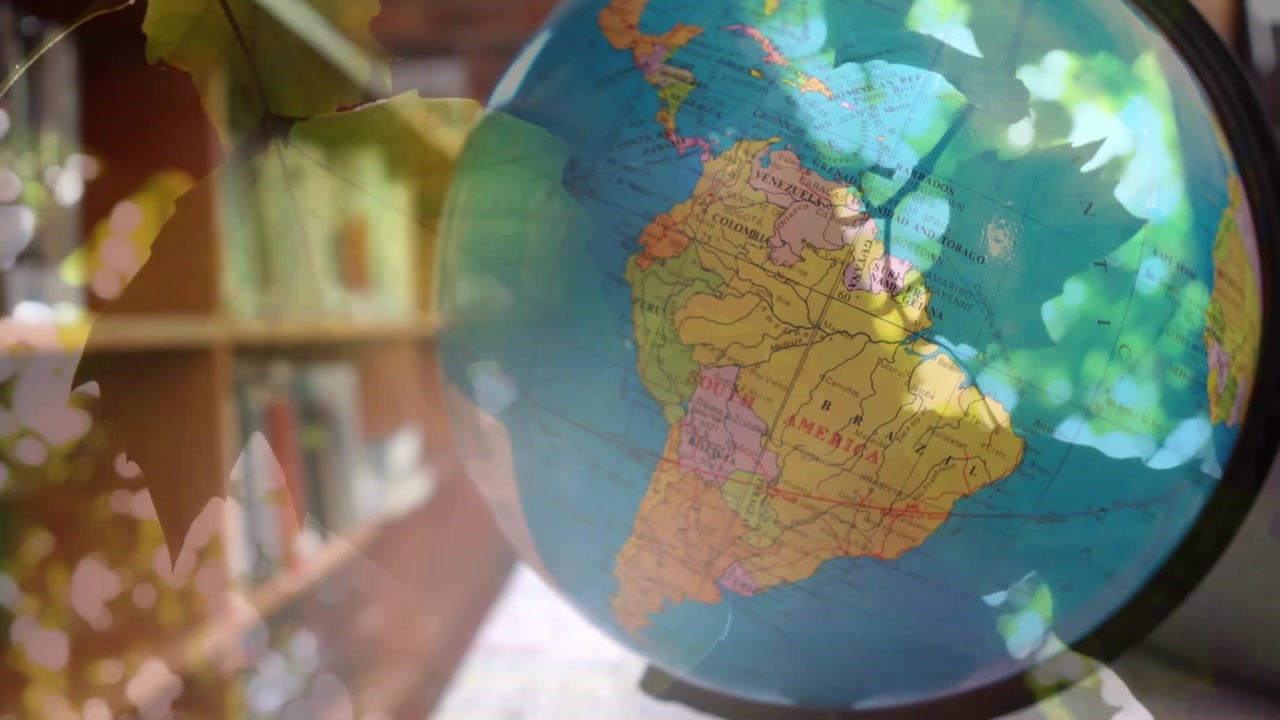 Doble exposición de un globo terráqueo y una estantería de biblioteca
