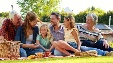 Family-having-picnic-in-the-park
