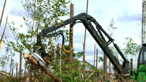 Logger with robotic arm lifting and sawing logs in forest. Deforestation