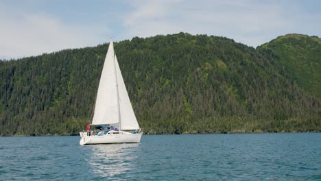 tourists on sailboat sailing in the ocean with forested mountain in background in alaska