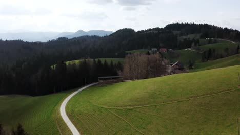 Eine-Kurvenreiche-Straße-Schlängelt-Sich-Durch-Leuchtend-Grüne-Hügel,-Eine-Brücke-Zwischen-Dem-Ruhigen-Weideland-Und-Dem-Rätselhaften,-Schattigen-Wald