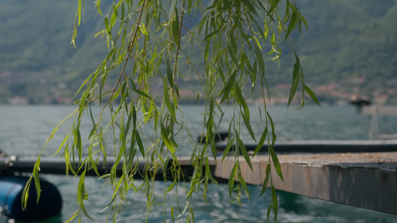 Tree leaves in foreground with floating boat dock on wavy Lake Como, Italy (Lago di Como, Italia), peaceful and natural