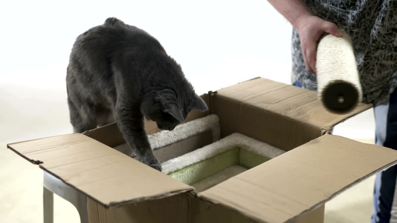 muebles modernos para gatos y gatitos desembalaje y montaje