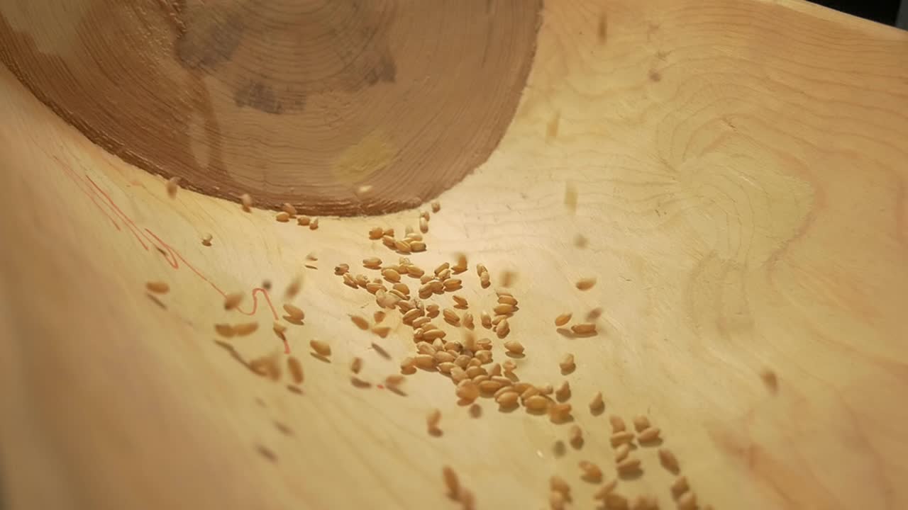 Slow motion. Grain and water pours into a wooden bowl