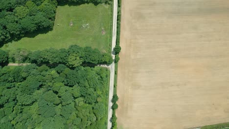 imágenes de naturaleza cinematográfica de 4k de un dron volando sobre un campo en medio del campo siguiendo la carretera en normandía, francia en un día soleado
