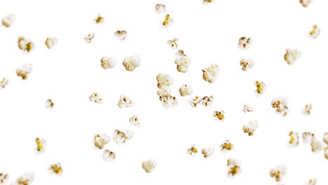 flying many popcorns on white background. white salty popcorn. healthy food. corn seed. 3d loop animation of popcorn rotating.