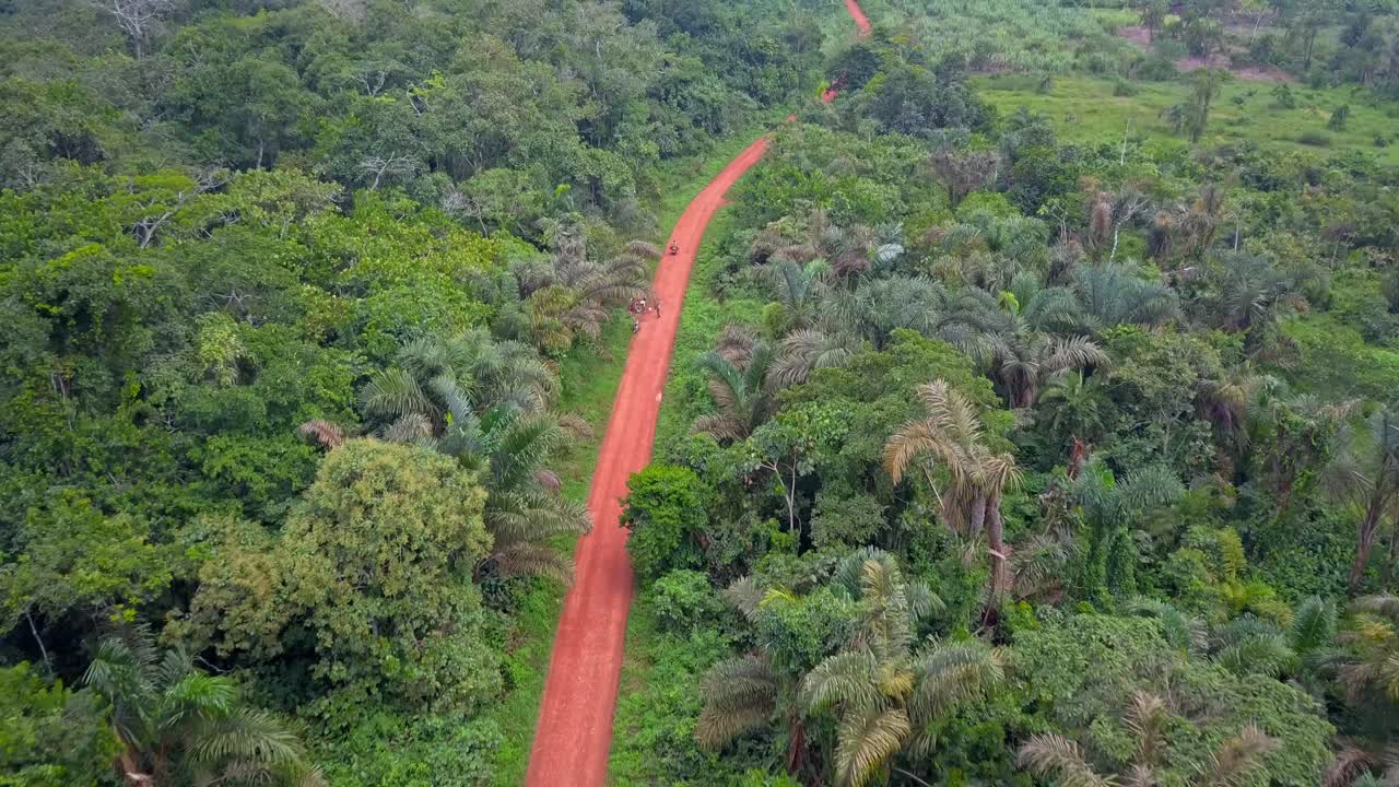 Aerial View Of A Motorcycle On A Dirt Road Passing Through Dense Trees Along The Way in Mukono, Uganda