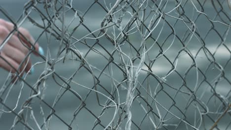 female hand touching fence mesh with dry plant stems during walk on street