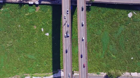 puento ramon matias mella spans ozama river with invasive water hyacinth