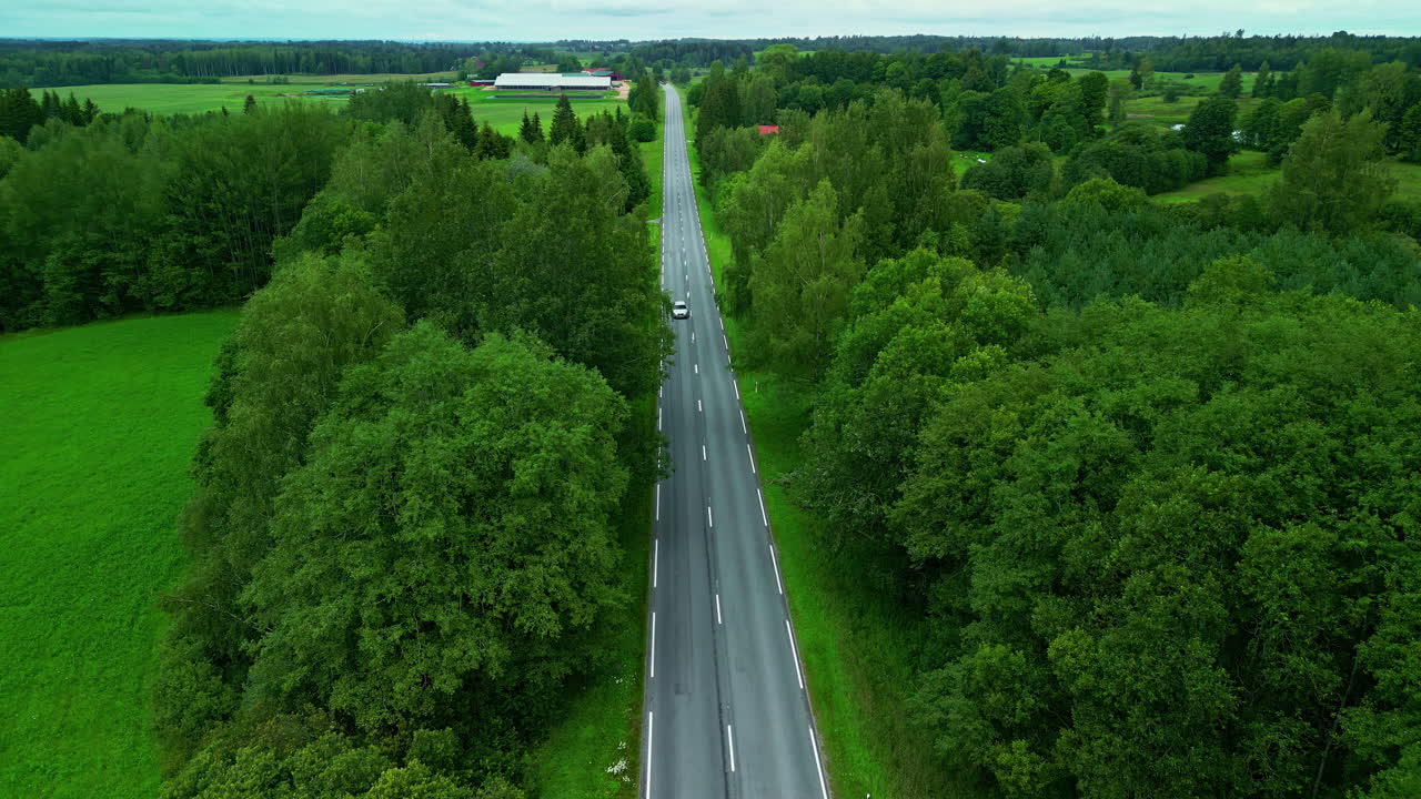 드론으로 촬영된 놀라운 공중 전망은 초록색 식물 속의 인공 도로를 보여줍니다. 풍부한 농지 풍경의 특별한 아름다움을 진정으로 묘사합니다.