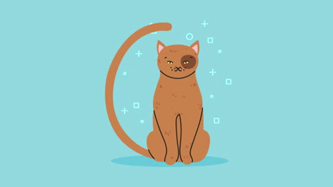 cute little cat mascot animation