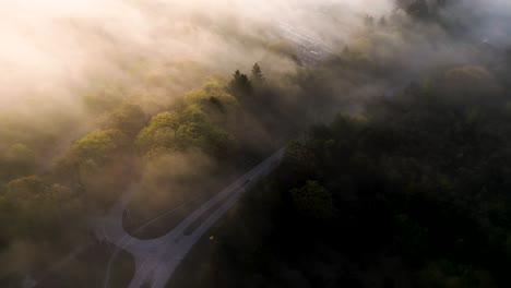 misty forest road aerial view