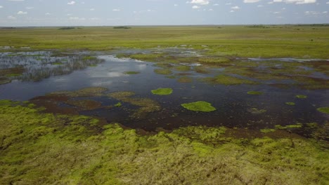 Wetlands-of-northeast-Argentina-shooted-with-drone