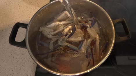 crab legs simmering in a large pot over time